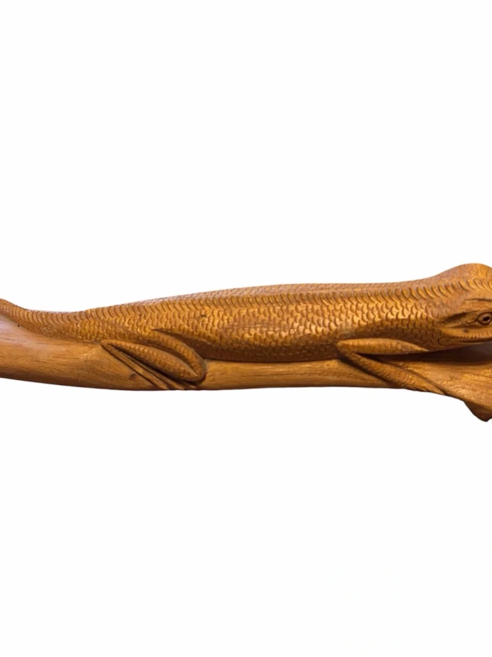 Carved Wood Lizard Wall Sculpture in Warm Brown